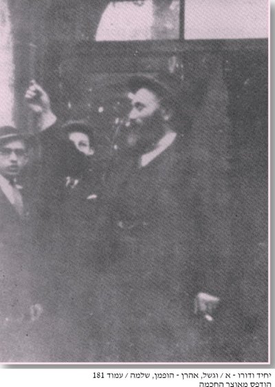 רג מידאניק בפתח התת דקלם.jpg