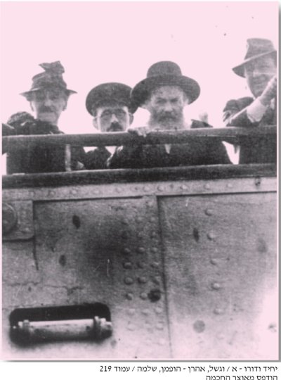 רא וסרמן התמונה האחרונה.jpg