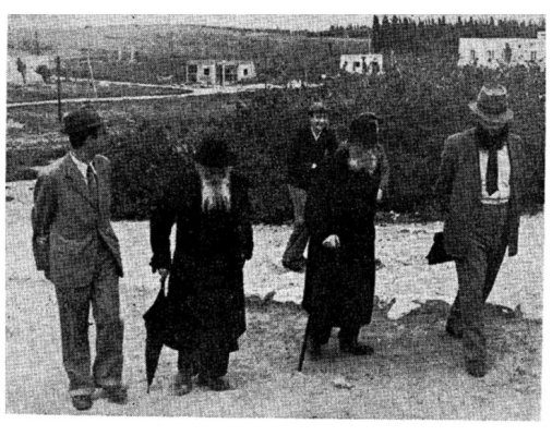 תמונה.JPG