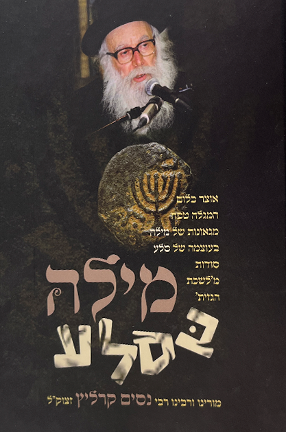 הספר  מילה בסלע במחיר שווה | יפה נוף פלדהיים