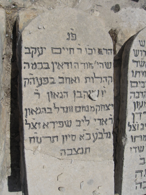 www.hamichlol.org.il